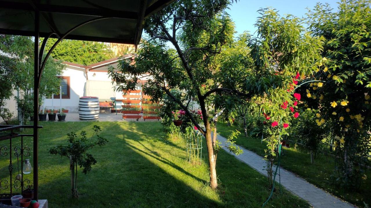 Casa Ienciu Apartment Sibiu Exterior photo